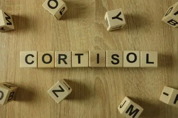 The Hidden Connection: How Stress Shapes Your Fitness and Body Composition 2 Image saying "Cortisol" and how stress Wealdstone impacts your wellbeing and bodies shape